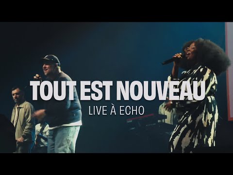 Vidéo: Nouvelle laisse sur la vie