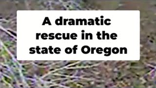 Missing hiker rescued after five days in remote river valley