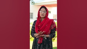 Celebrating 3 years of National Education Policy 2020 -Central University of Kashmir #3yearsofnep