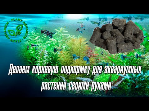 Подкормка для аквариумных растений своими руками