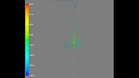 Pyramidal neuron stimulation rendered using Neuronvisio (red-blue)