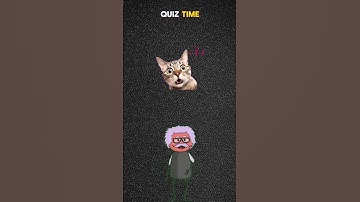 #quiz #triviatricks #mindbendingquiz #games #quizgame #riddlejourney #trivia #game #riddles