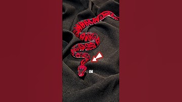 top 5 attractive snakes 🐍😍 #top5 #beautifulsnakes