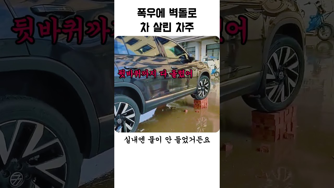 폭우에 벽돌로 차 살린 차주