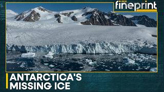 Antarctica Loses Sea Ice the Size of France | WION Fineprint