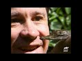 Steve Irwin Gets BATTY in the New Guinea Highlands! | The Crocodile Hunter | Animal Planet