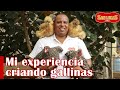 Consejos para la cría de gallinas | Granja San Lucas