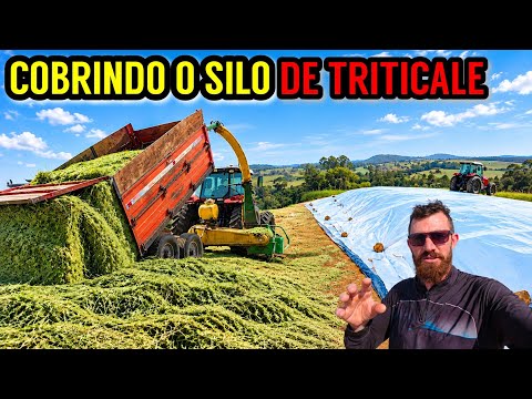 WE FINISHED THE TRITICALE SILO! See How It Turned Out After All That Rain (Part 3)