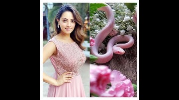 #shorts #viral All Naggin actress Same Dress as Snake.🐍😊💖💕🥰😀