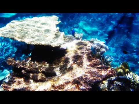 KORG M01D CHRONO CROSS 航海 アナザー・ワールド (Voyage -Another World-)