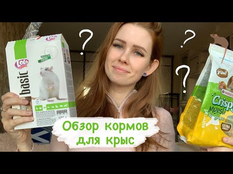 Какой корм для крыс выбрать? Обзор кормов и добавок к корму для крыс 🐁 Little one, Lolo Pets и др.