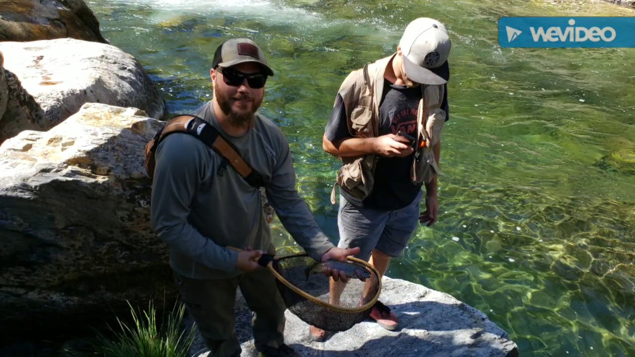 Fly Fishing North Fork of The Yuba River YouTube