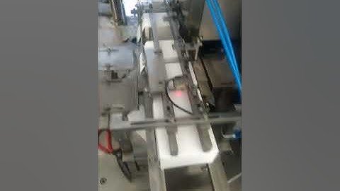 economic type horizontal cartoning machine