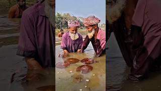 Catching Fish But Its Frog