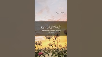 #اكسبلور #قصص #قرآن_کریم #تلاوت_قرآن #قرآن #آية_النور #سورة_النور