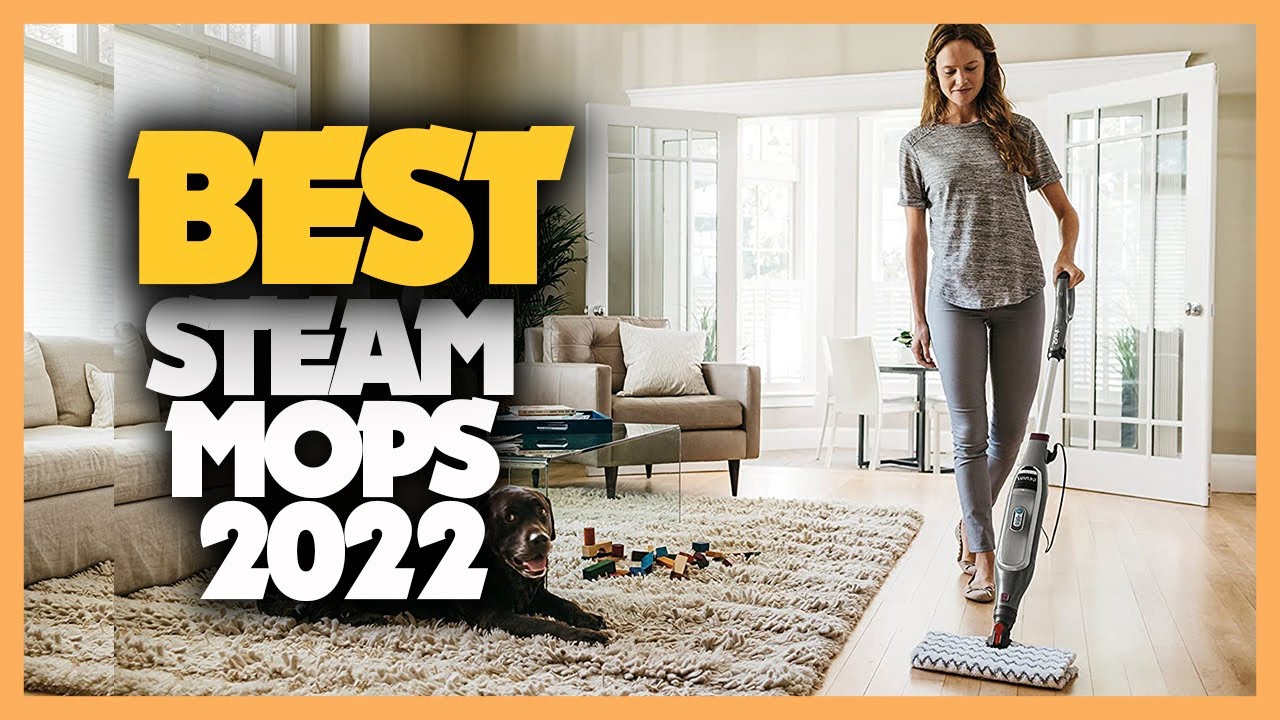 8 Best Steam Mops 2021