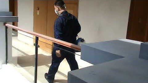 Longray Portable Lithium Battery ULV Fogger - Model: 3600B