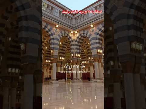 لا تحمل هم الرزق بل استقم كما اومرت اكسبلور المصحف دويتو الرحمن  العظماء لايك تيك توك ا