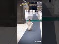 MASH ALLAH ЁЯХМ Subhanallah Mashallah Islamic Short My Chanel Subscribe ЁЯШН 10k Like Allah Huakbar ЁЯХМЁЯТЮЁЯТЮЁЯТЮЁЯХМЁЯТЮ MASH ALLAH ЁЯХМ Subhanallah Mashallah Islamic Short My Chanel Subscribe ЁЯШН 10k Like Allah Huakbar ЁЯХМЁЯТЮЁЯТЮЁЯТЮЁЯХМЁЯТЮ