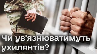 🔴 Нардепи "рознесли" УРЯДОВИЙ законопроєкт про штрафи та ув'язнення ухилянтів!