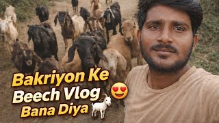 Bakriyon Ki Duniya Mein Vlogger Bana Desi Life Vlog