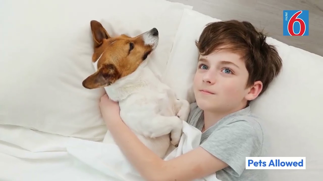 Motel 6 Portland, Or – Southeast Hotel