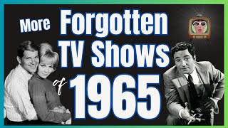 Forgotten TV Shows of 1965 – Do You Remember These 7 Short-Lived 60s Television Shows?