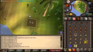 Celebrity OSRS Farming Guide: Fruit Trees + Normal Trees Net Worth