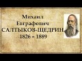 Салтыков-Щедрин биография | Биография Салтыкова Щедрина кратко