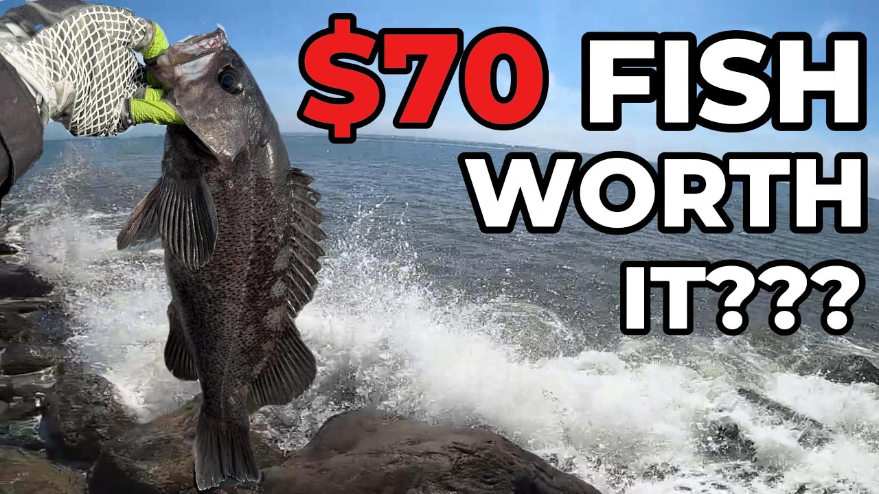 Jitty Fish I Spent $70 To Catch THIS Fish… | Jetty Fishing Washington - YouTube