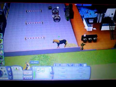 Vidéo: Comment Créer Une Licorne Dans Les Sims 3 Pets