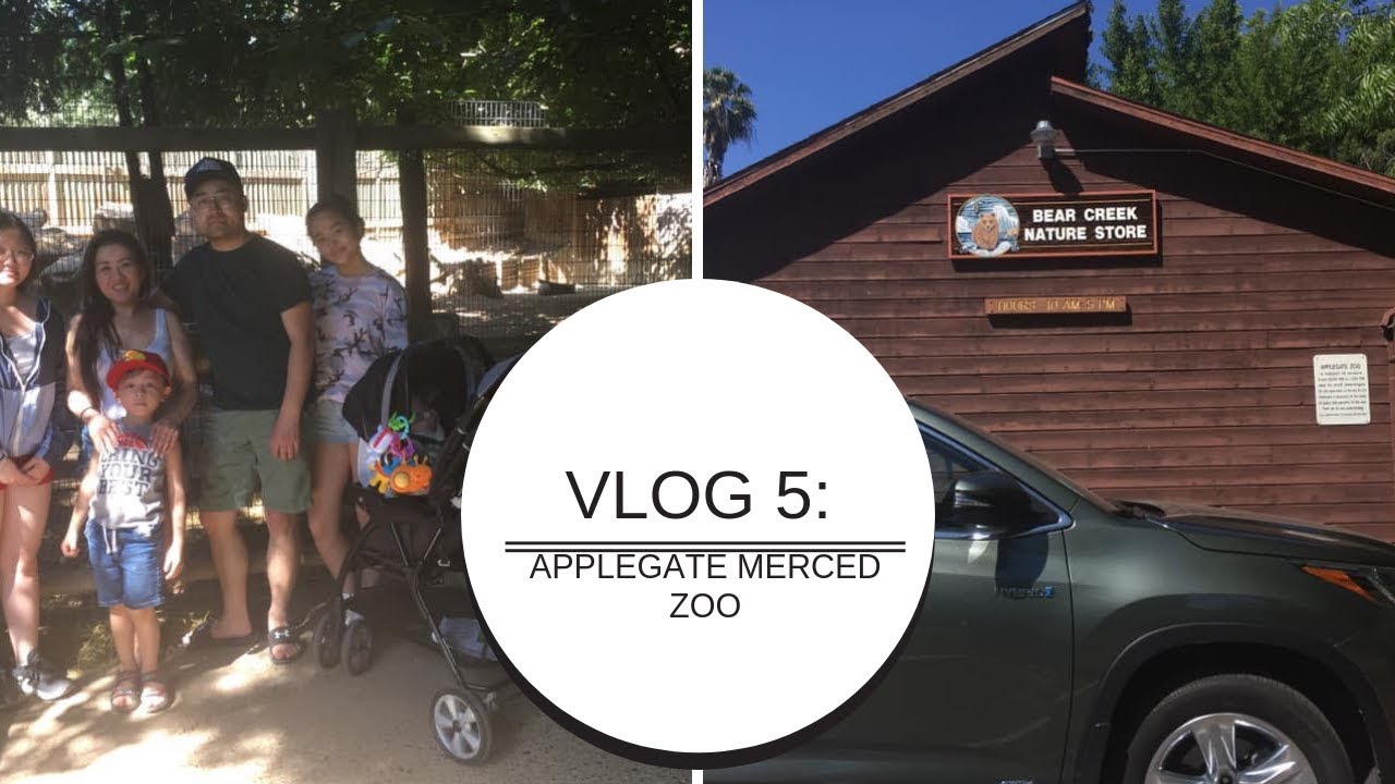 VLOG 5: APPLE-GATE MERCED ZOO / ROAD TRIP / May 2019 - YouTube