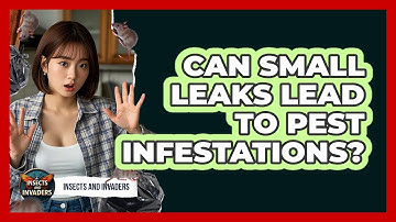 Can Small Leaks Lead To Pest Infestations? - Insects and Invaders