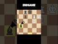 💀EndgamE 💀 The RoooooooK♟️ #shorts #chess