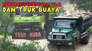 TRUK BUAYA DAN DUMPTRUK TUAN MUDA