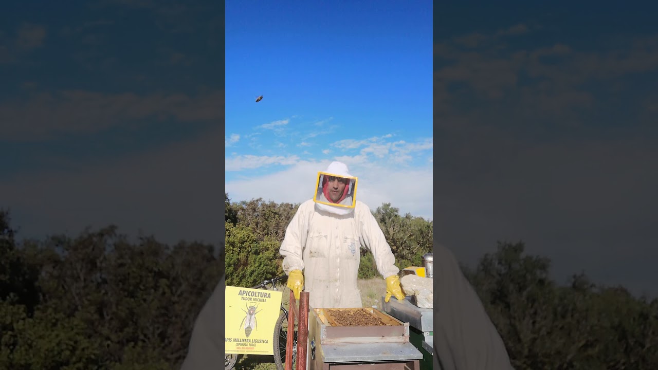 Nido stretto - Tutorial