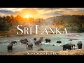 Sri lanka in 4k  land of stunning natural wonders  scenic relaxation film