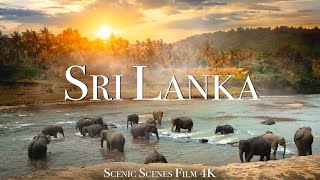 Sri Lanka In 4K - Land Of Stunning Natural Wonders | Scenic Relaxation Film