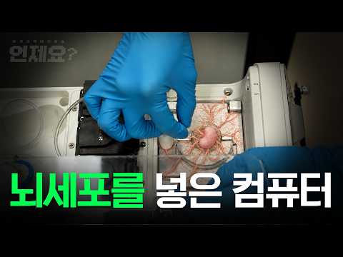 이게 AI 대안이라고? 전기 흡입하는 데이터센터, 그 한계를 뚫을 2400만 뇌세포 l 언제요 Ep18