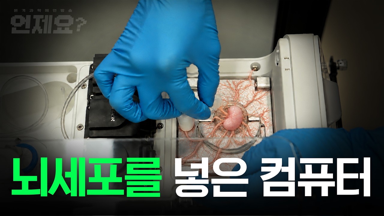 이게 AI 대안이라고? 전기 흡입하는 데이터센터, 그 한계를 뚫을 2400만 뇌세포 l 언제요 Ep18