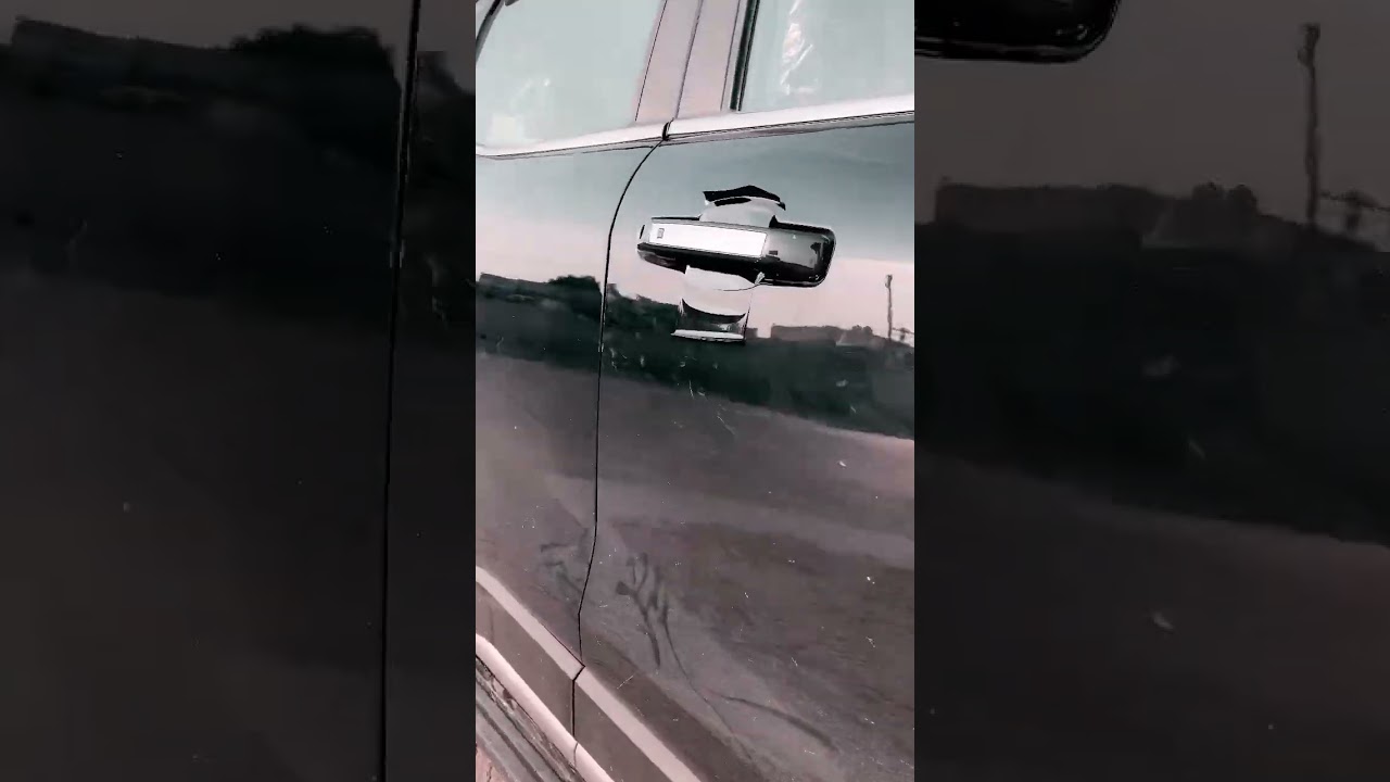 Scorpio N Door open protector 🥰