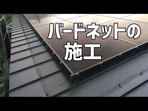 バードネット施工 太陽光パネルと屋根の隙間に鳥が侵入するのを防ぎます。【住宅設備アシスト】 - YouTube