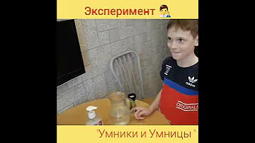 Эксперимент 