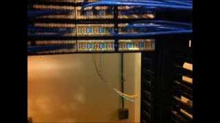 "Seis Gatos" by Nathan Lawver (TIME LAPSE ANIMATED CAT 6 CABLES)