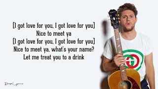 Niall Horan   Nice To Meet Ya Lyrics 🎵