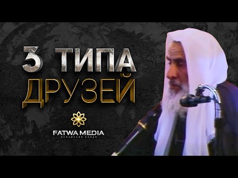 ОСТЕРЕГАЙСЯ ТАКИХ ДРУЗЕЙ | Шейх ибн Усеймин