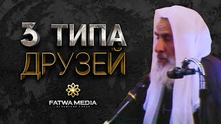 ОСТЕРЕГАЙСЯ ТАКИХ ДРУЗЕЙ | Шейх ибн Усеймин