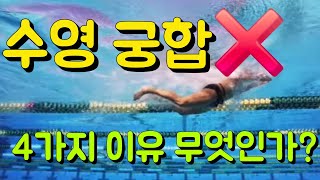 수영궁합이 맞지 않는 사람은 누구인가?