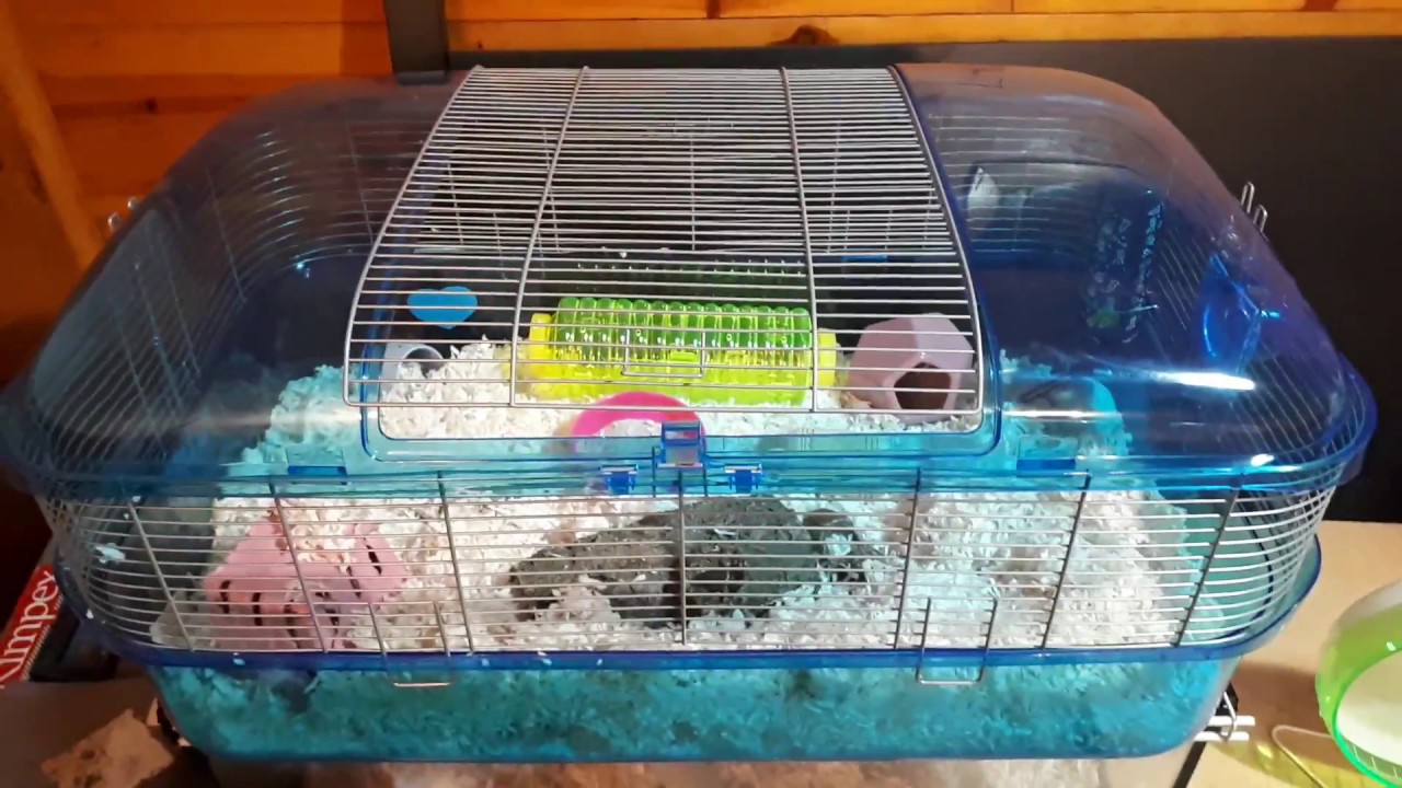 450 inch hamster cage