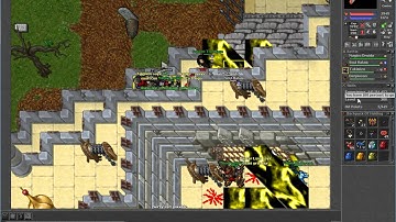 Tibia - Aurera Server - Killing 276 RP Red Skull (Trap Push)